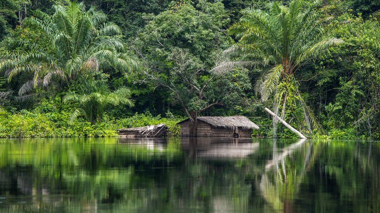 Hut along Congo River