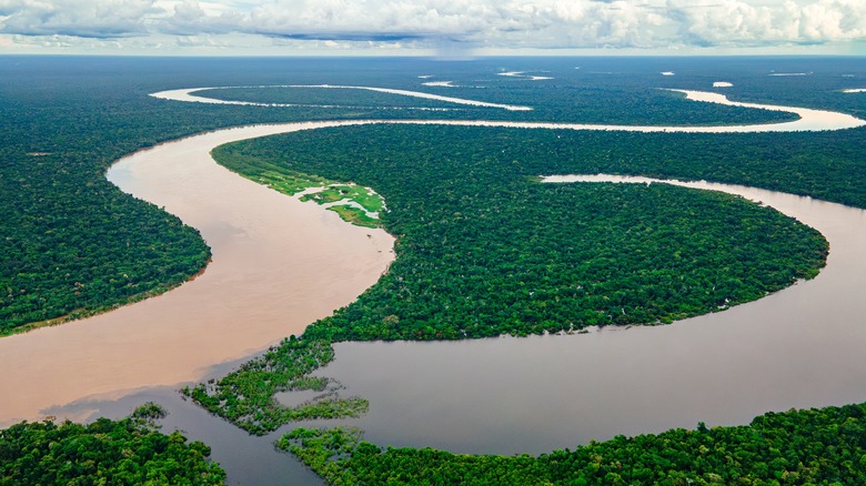 Curves of Amazon river