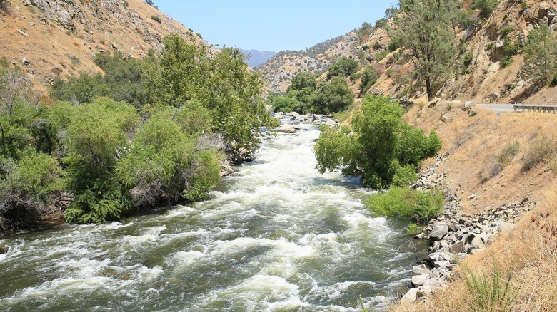 Rapids of Kerns River