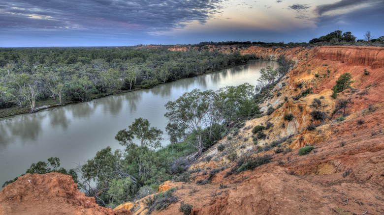 Murray River still