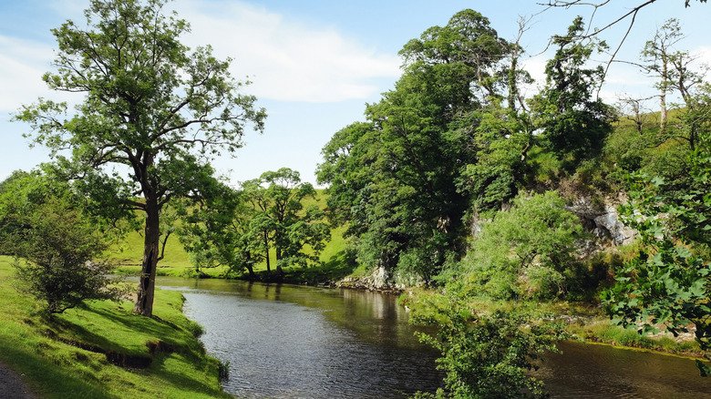 Peaceful looking River Wharfe