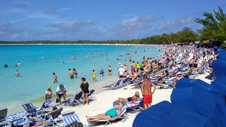 A crowd of people on a beach