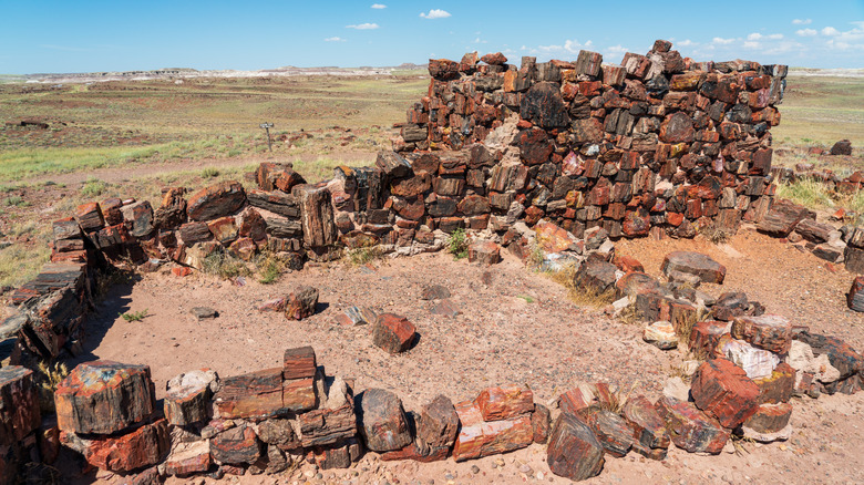 Petrified Forest National Park ruins