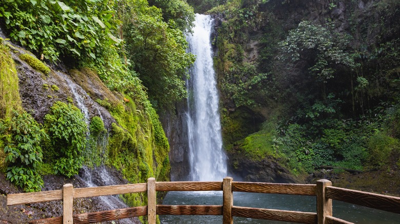 Waterfall in La Paz