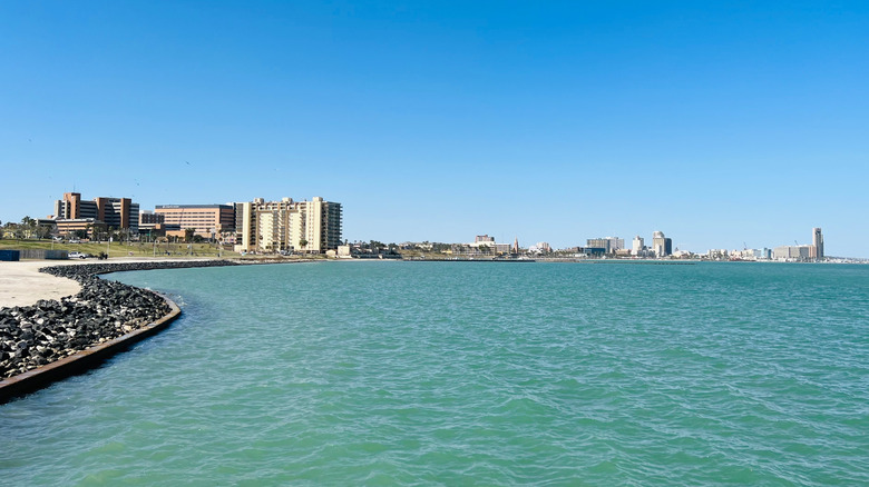 View of Corpus Christi from Cole Park