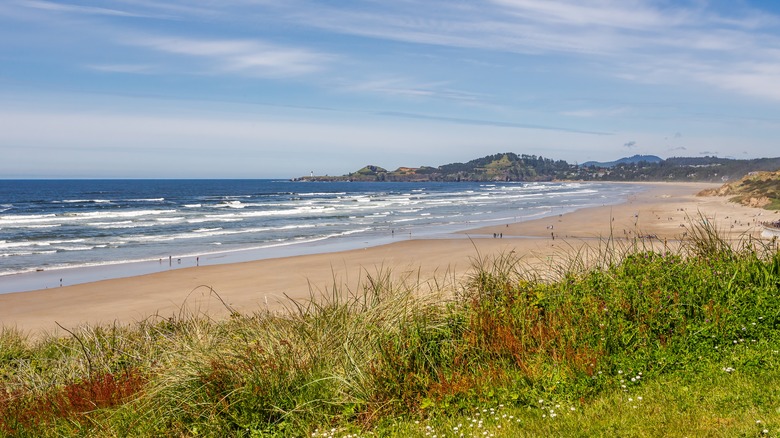 Coastal scenery along Nye Beach