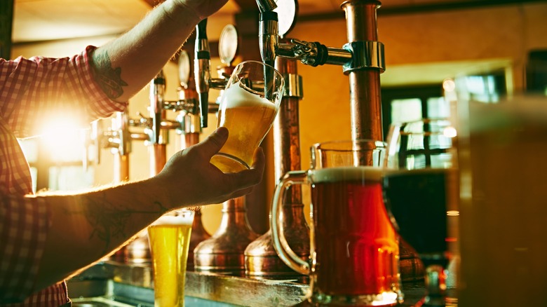 Bartender pouring beers and ales for tasting