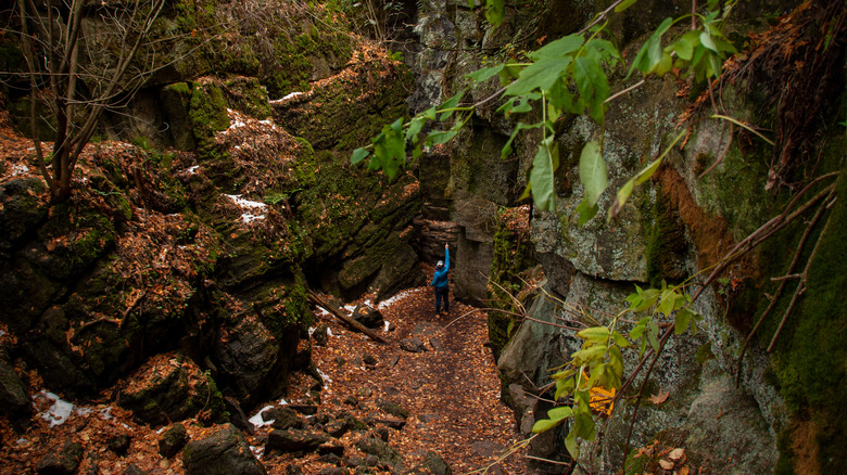 Hiker in the Niagara Escarpment