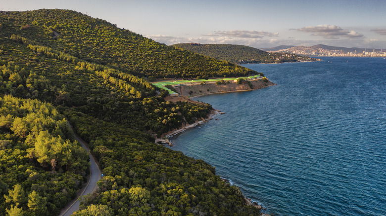 Green hills of Büyükada