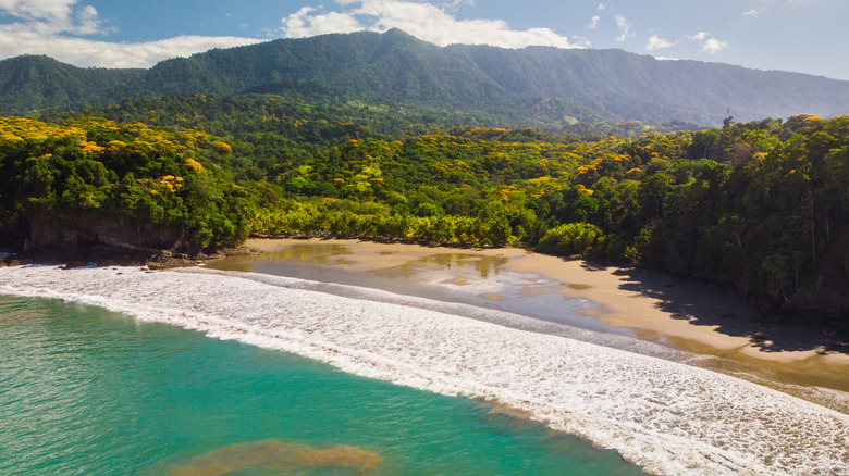 Playa Ventanas aerial view