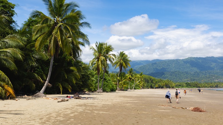 beach in Uvita Costa Rica