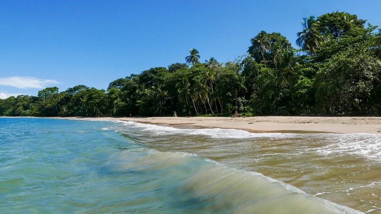 Punta Uva in Costa Rica