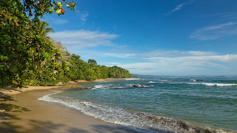 Playa Chiquita in Costa Rica