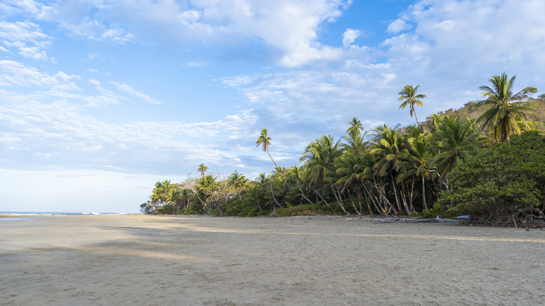 beach in Santa Teresa