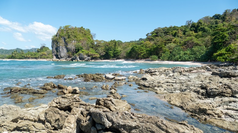 Playa Los Suecos