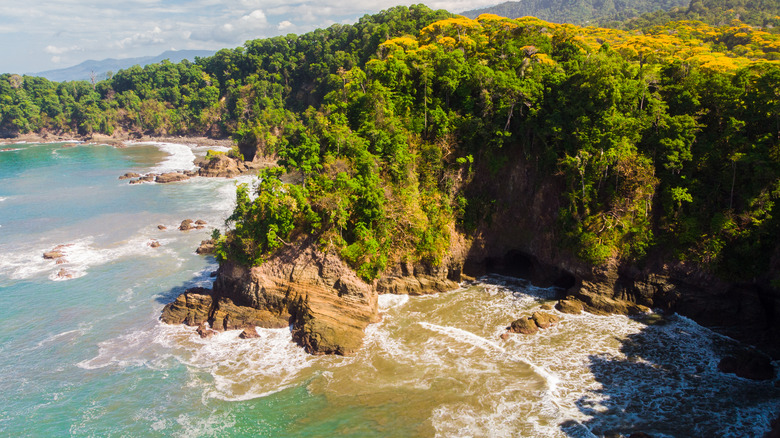 Playa Ventanas aerial view