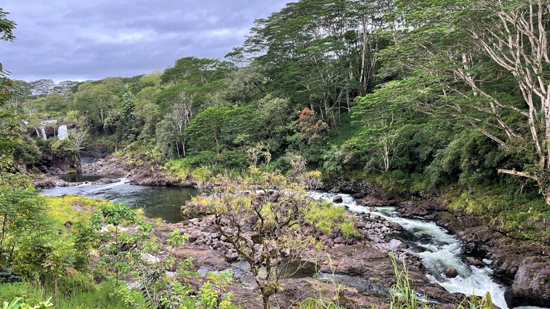 Boiling Pots viewpoint in Wailuku River State Park