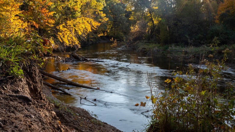 Chippewa River, Michigan 