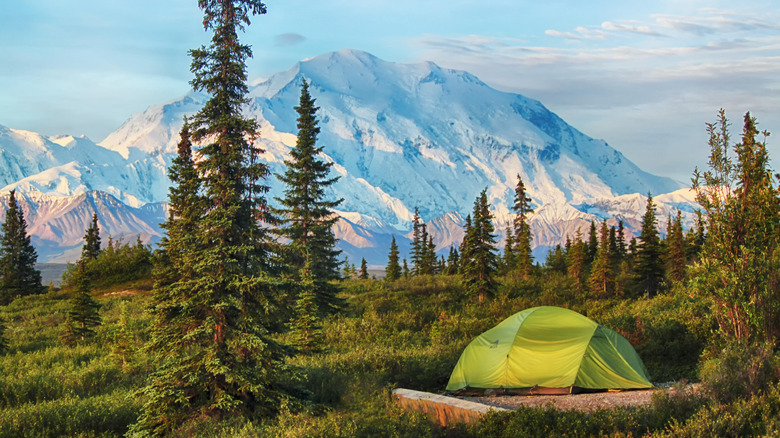 Tent with mountain backdrop