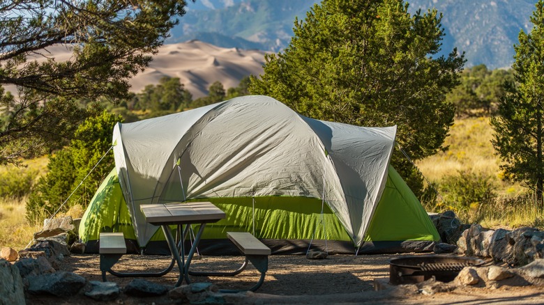 green tent in nature