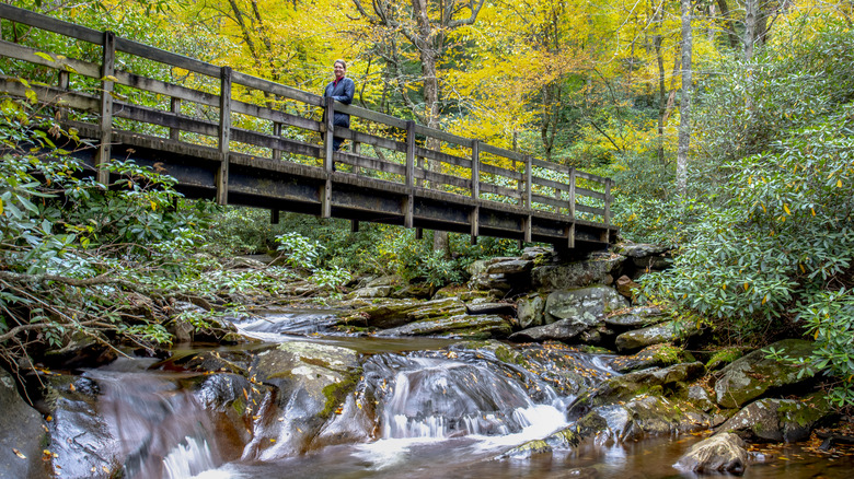 Person walking across bridge