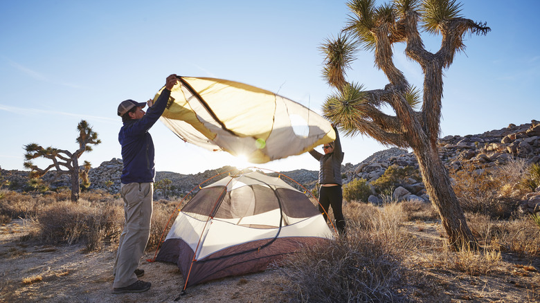 couple camping in Joshua tree