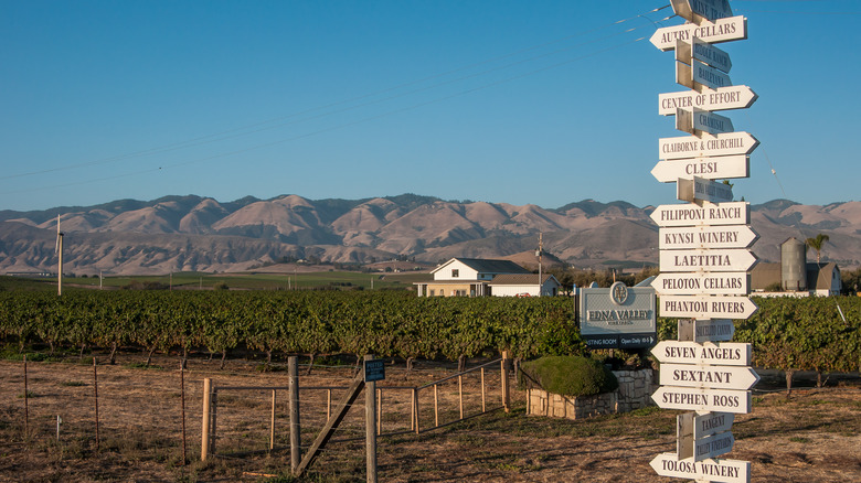 Edna valley winery sign with scenic backdrop 