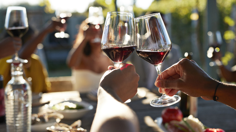 Friends toasting wine together 