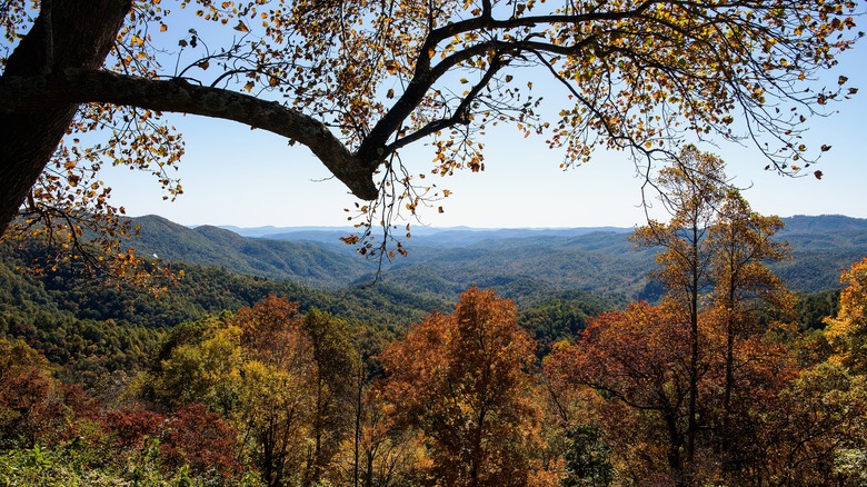 Grand view of the Yadkin Valley, NC