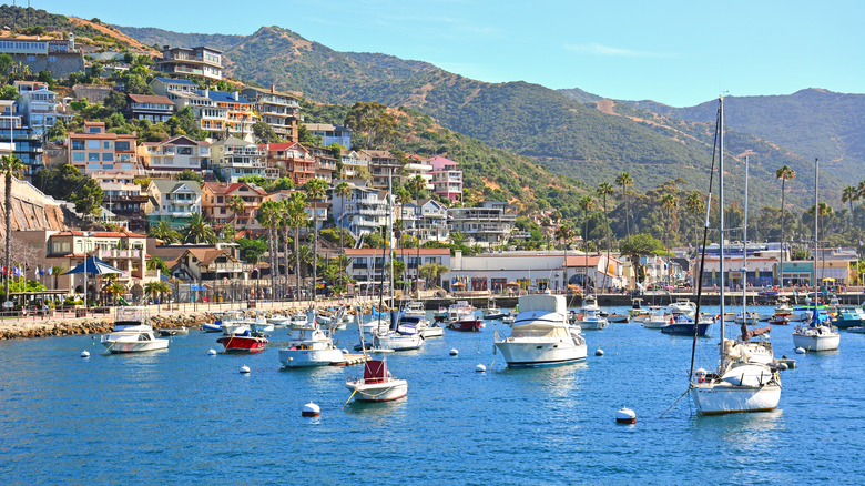 View of the harbor at Avalon