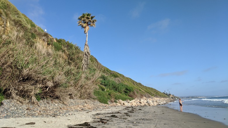 Swami's Beach in Encinitas