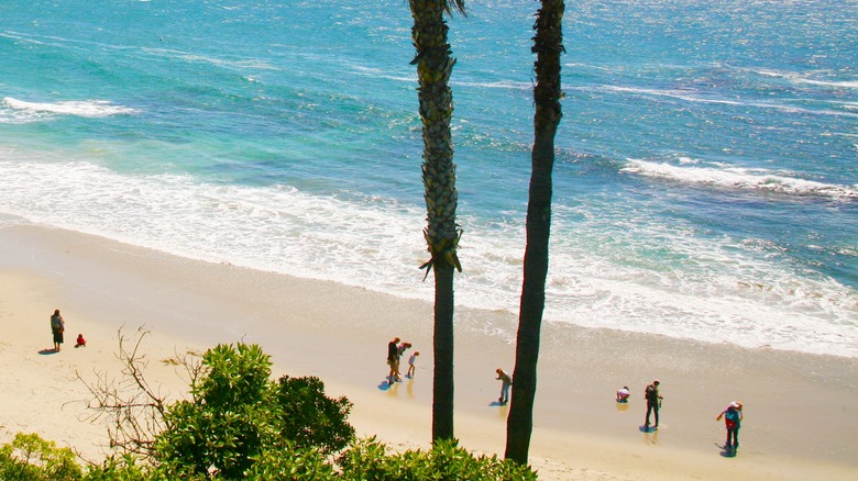 A view of Laguna Beach, California