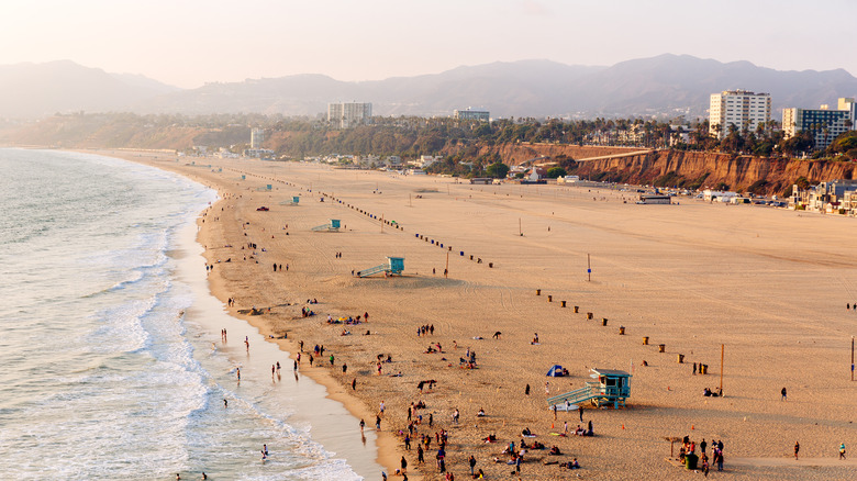 aerial beach view in LA