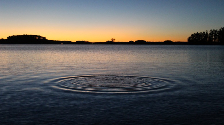 Ripples on Lake Lanier