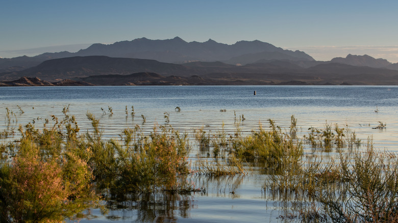 Lake Mead scenery