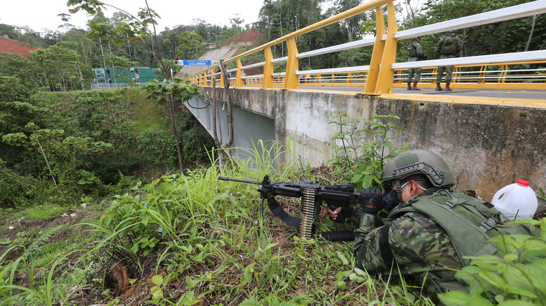 Military man in a bush