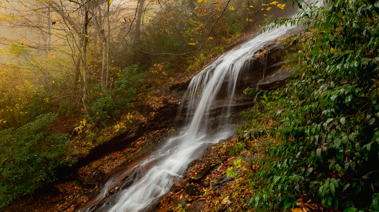 waterfall with fall foliage