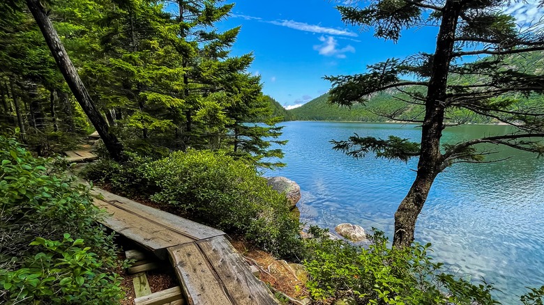 wooden boardwalk Jordan Pond Path