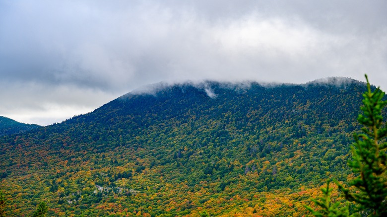 Overlook of the Pinnacle hike