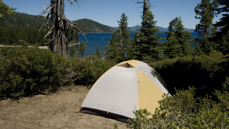 tent camping near lake