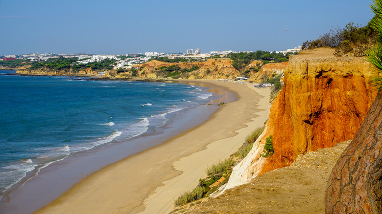 Long sandy beach with cliffs