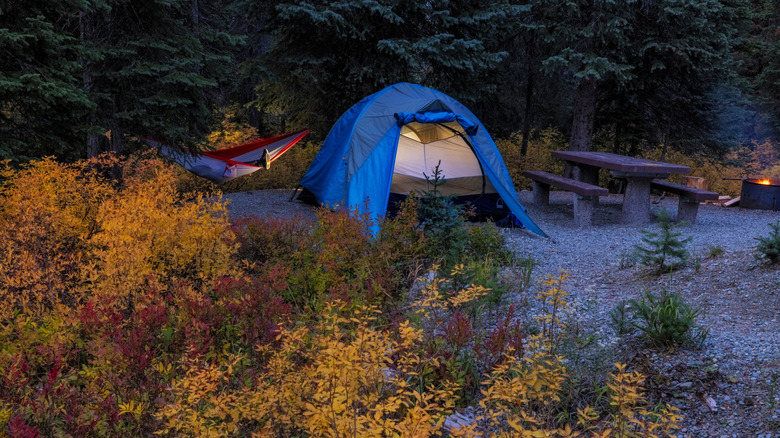 A camp set up with a tent, hammock, picnic table, and fire pit