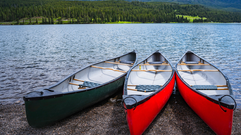 Three canoes parked on shore, Montana