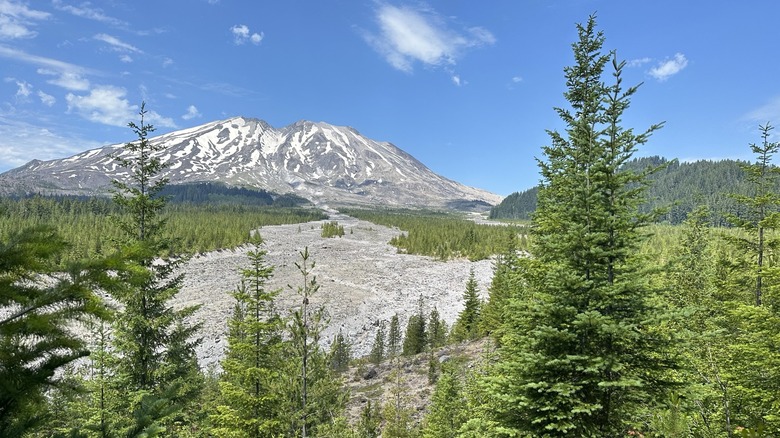 Mount St. Helens from the south