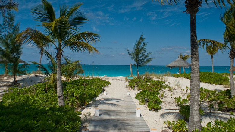 Walkway to beach in Providenciales