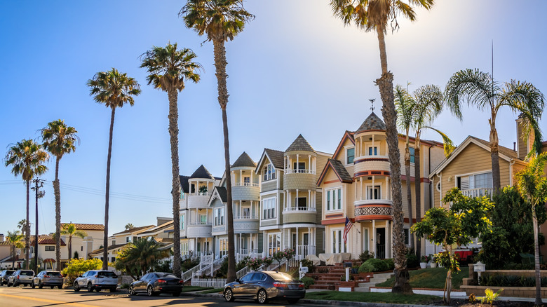 Painted Ladies in Huntington Beach, CA