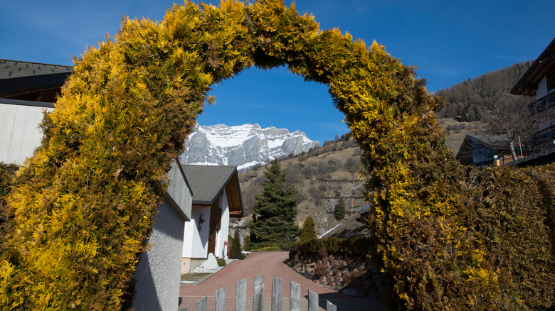 Arch made of pine branches leading into village of Albinen, Switzerland