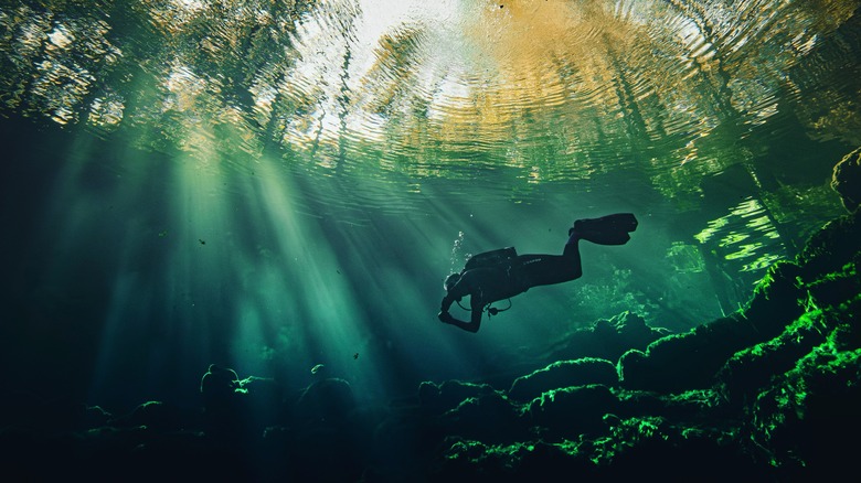 Freshwater scuba diver exploring