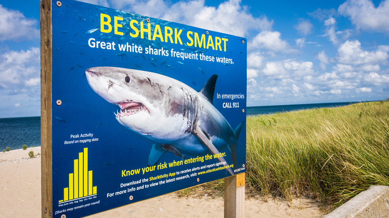 be shark smart safe sign