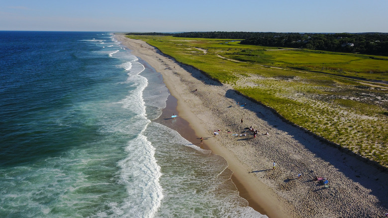 cape cod beach